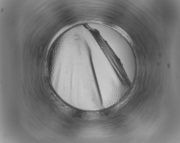 X0000076271052200610191734