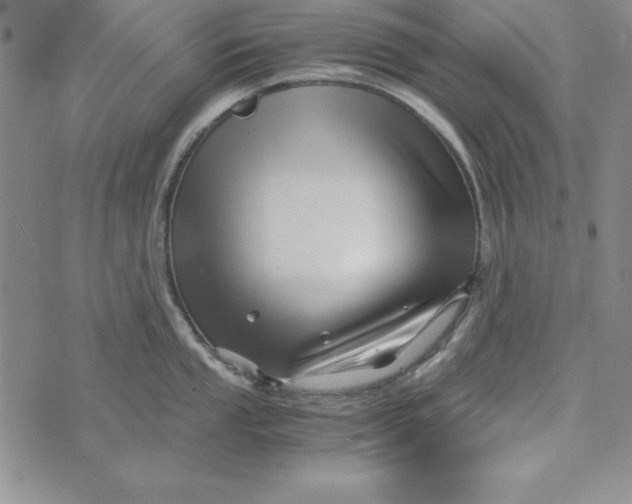 X0000076271053200610191735