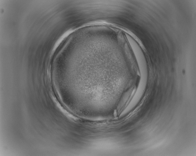 X0000076271054200610191735