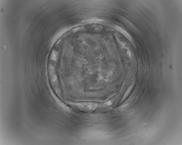 X0000076271055200610191735