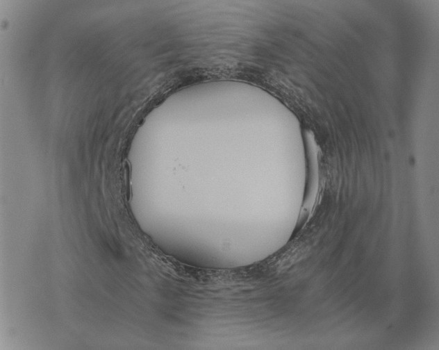 X0000076271057200610191734