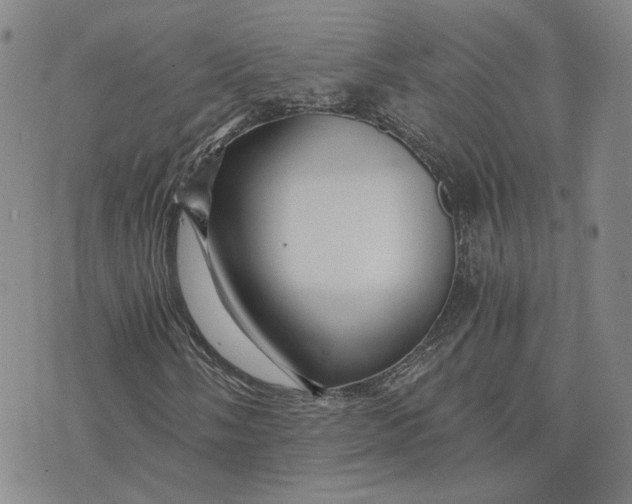 X0000076271058200610191734