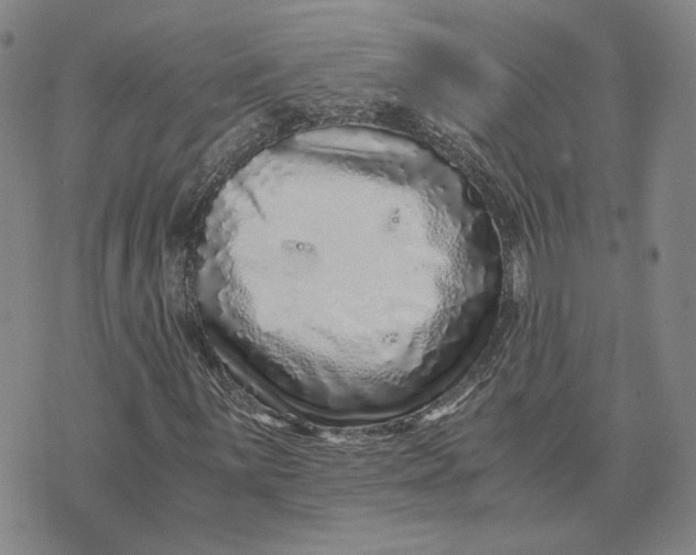 X0000076271059200610191734