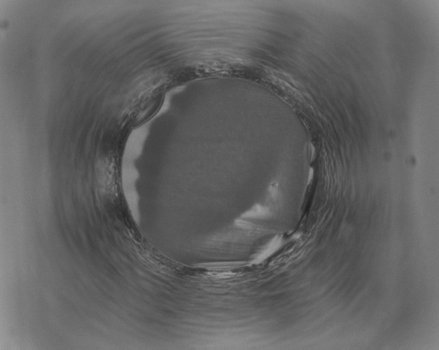 X0000076271060200610191734