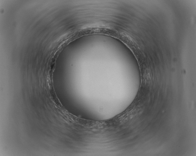 X0000076271062200610191734