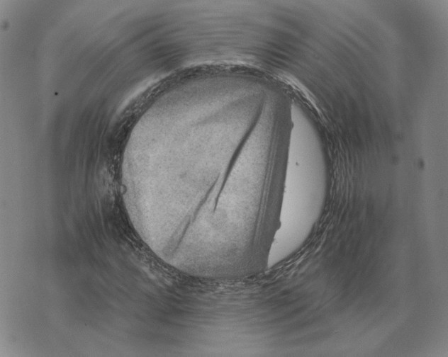 X0000076271064200610191734