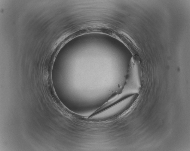 X0000076271065200610191734