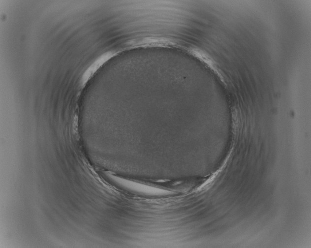 X0000076271066200610191734