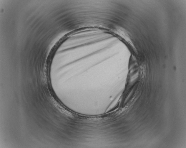 X0000076271068200610191734