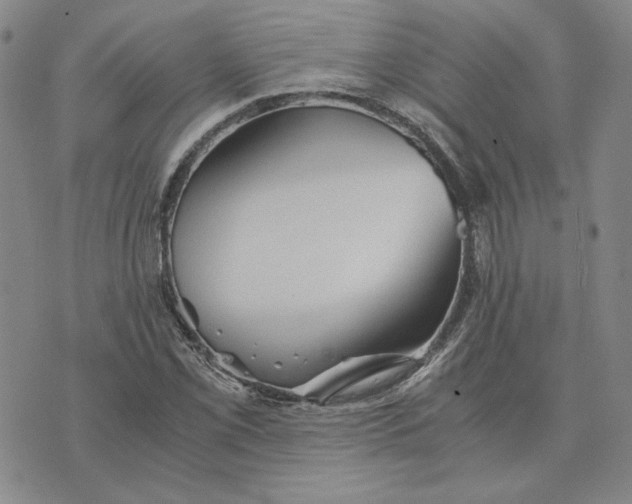 X0000076271069200610191734