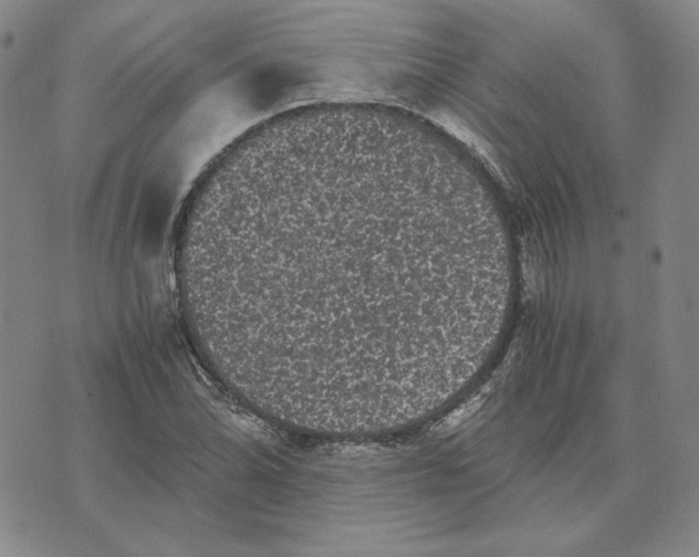 X0000076271070200610191734