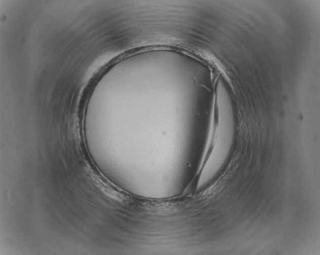 X0000076271072200610191734