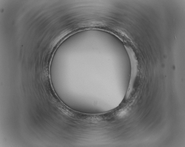 X0000076271073200610191734