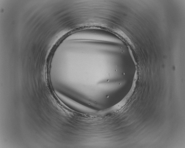 X0000076271076200610191733