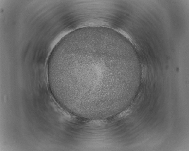 X0000076271078200610191733