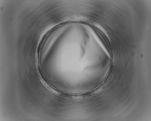 X0000076271080200610191733