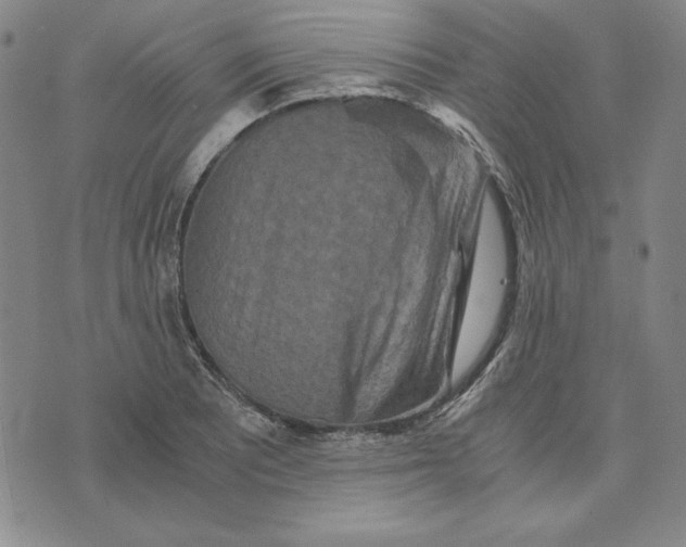 X0000076271081200610191733