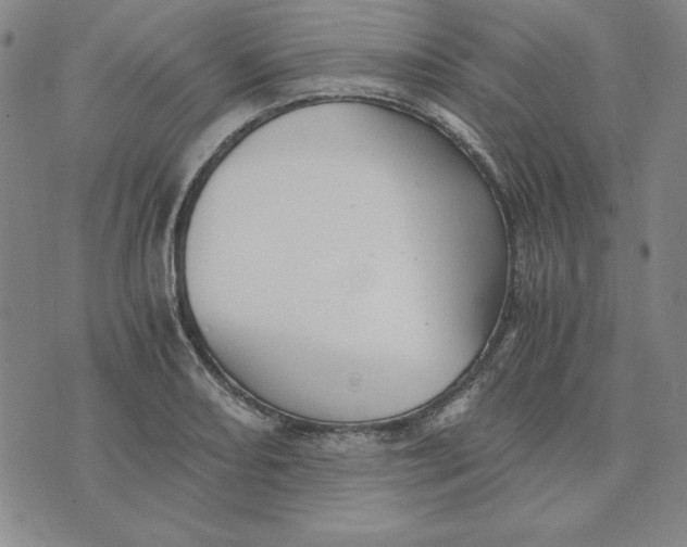 X0000076271082200610191733