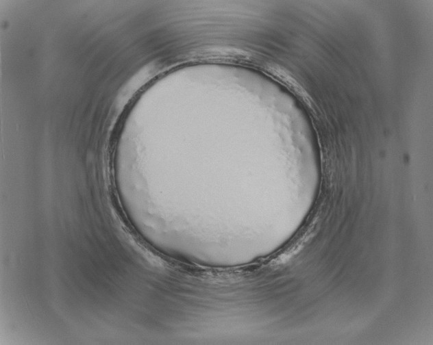 X0000076271083200610191733