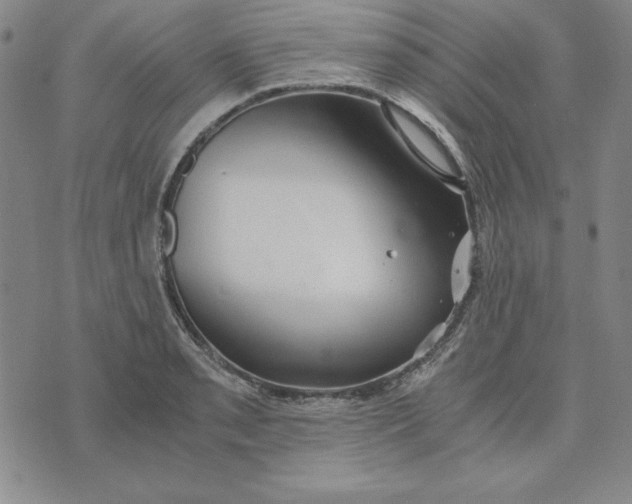 X0000076271085200610191733