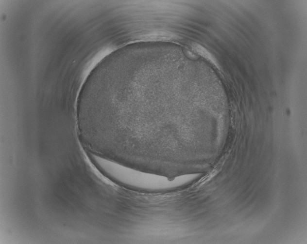 X0000076271087200610191733