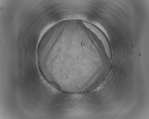 X0000076271088200610191733