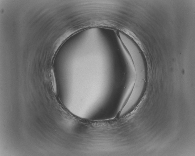 X0000076271089200610191733