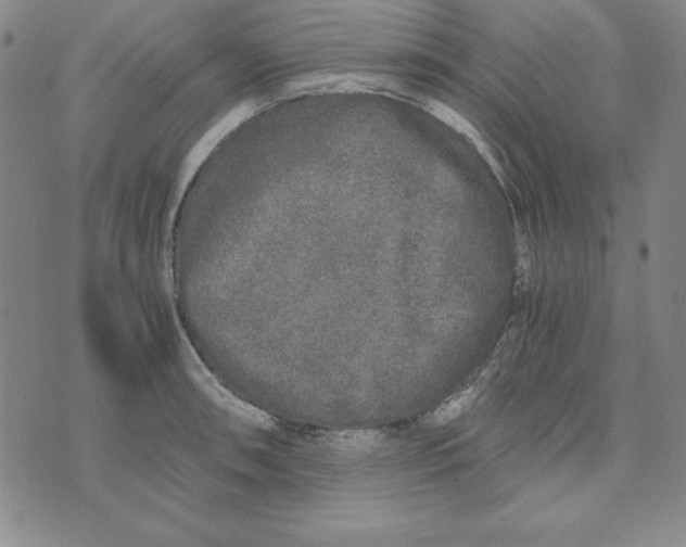 X0000076271090200610191733