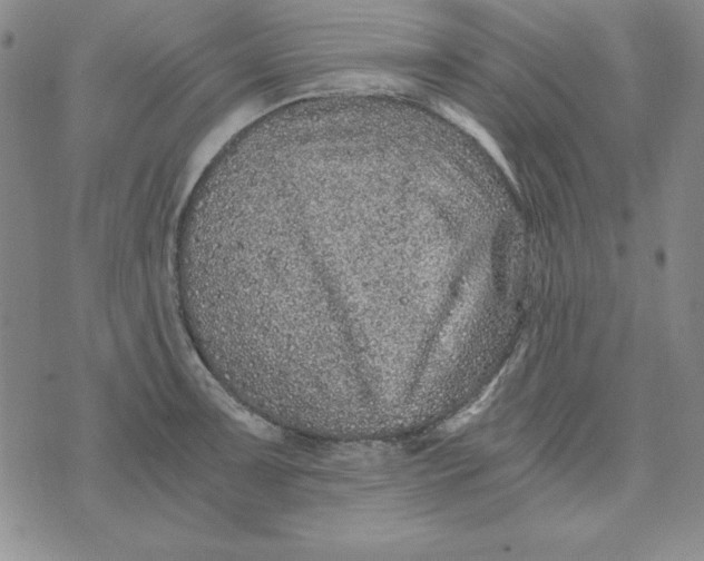 X0000076271091200610191733