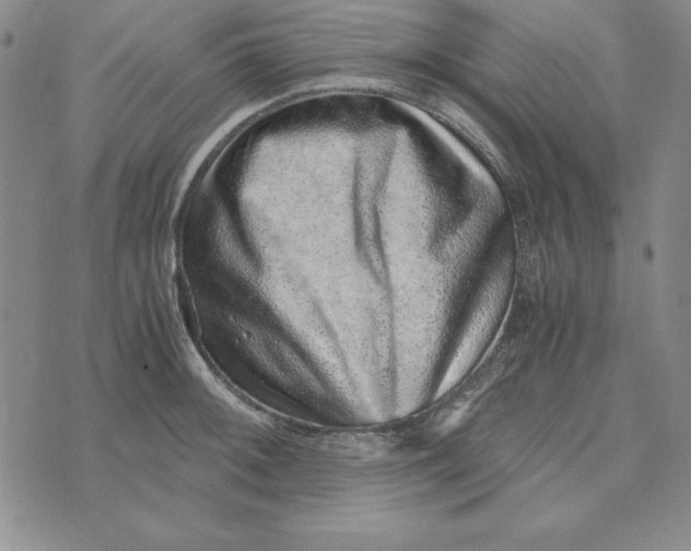 X0000076271092200610191733