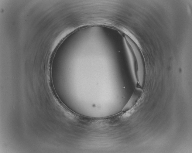 X0000076271093200610191733