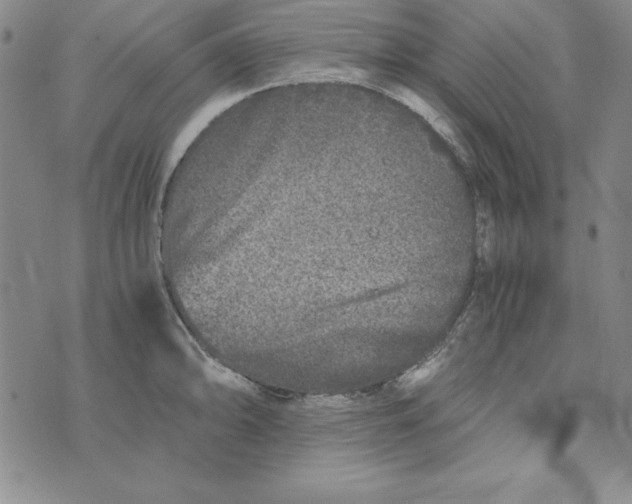 X0000076271094200610191733