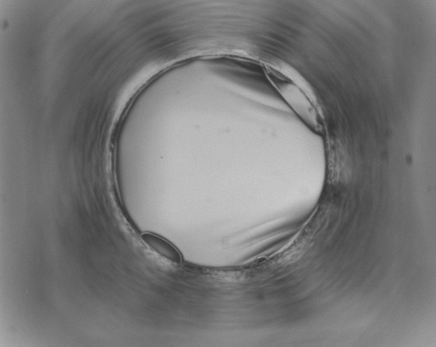 X0000076271096200610191733