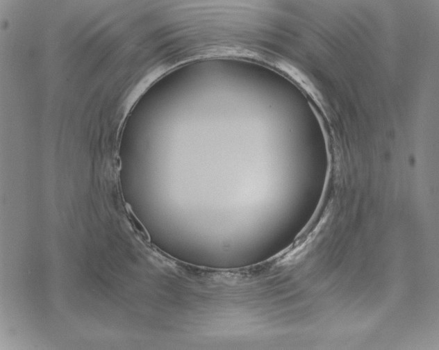 X0000076271097200610191733