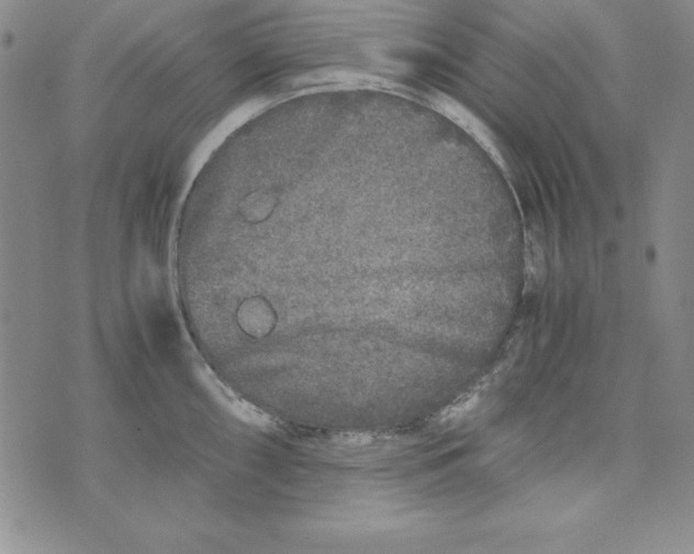 X0000076271098200610191733