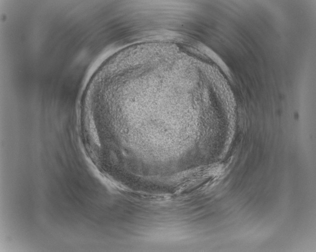 X0000076271099200610191733