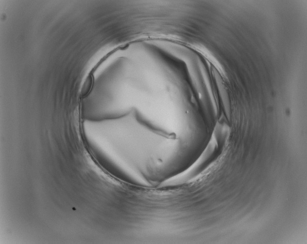 X0000076271100200610191733