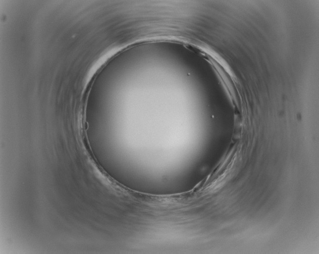 X0000076271101200610191733