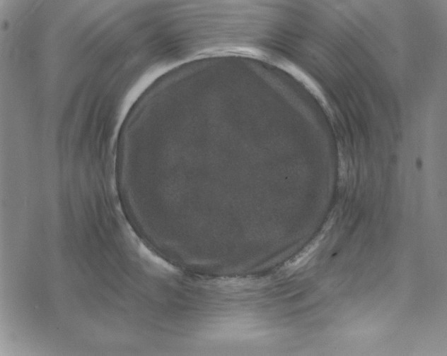 X0000076271102200610191733