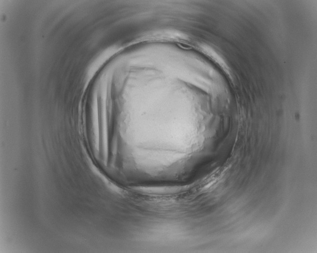 X0000076271103200610191733