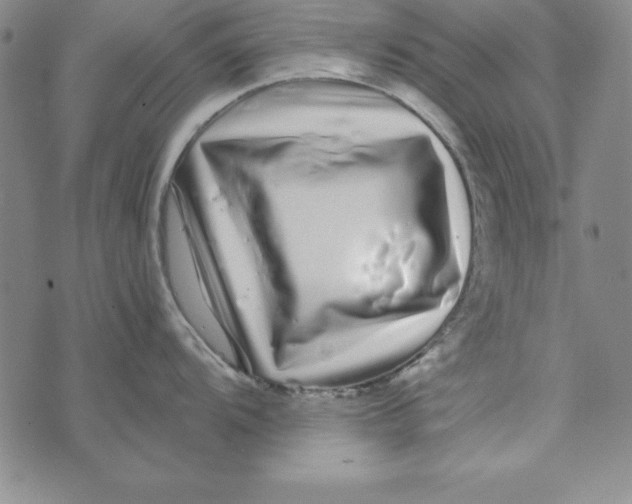 X0000076271104200610191733