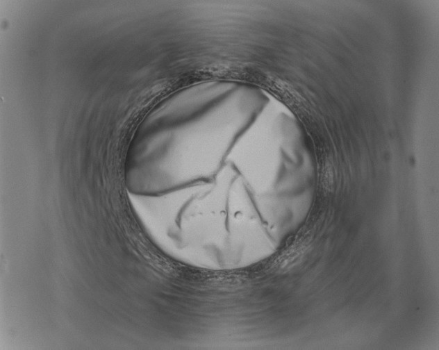 X0000076271105200610191732