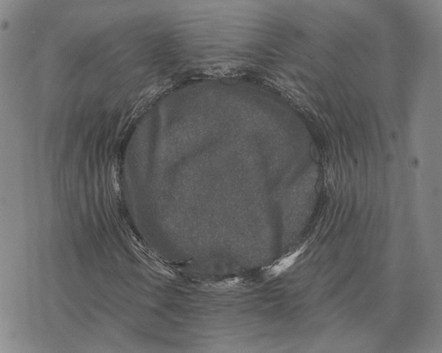 X0000076271106200610191732