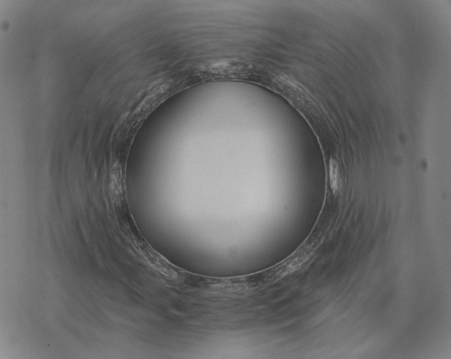 X0000076271107200610191732