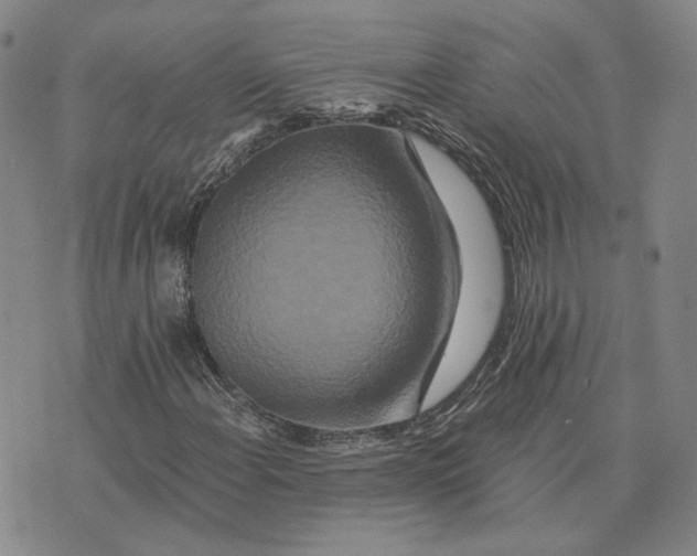 X0000076271108200610191732