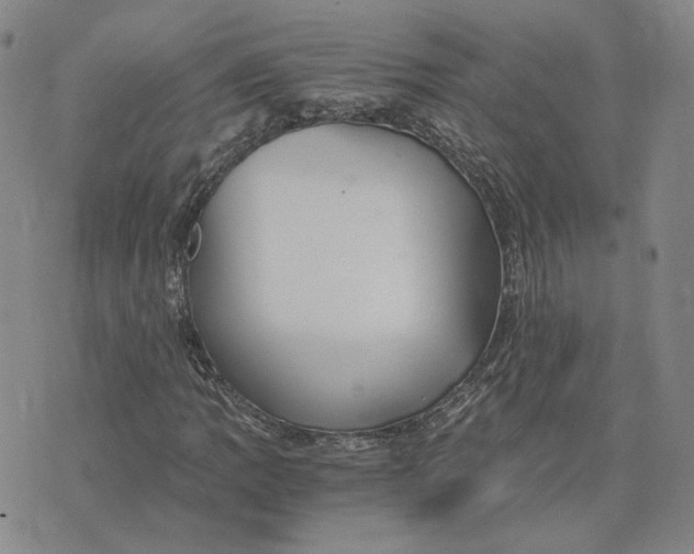 X0000076271109200610191732