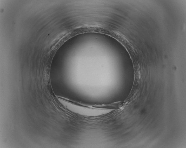 X0000076271110200610191732