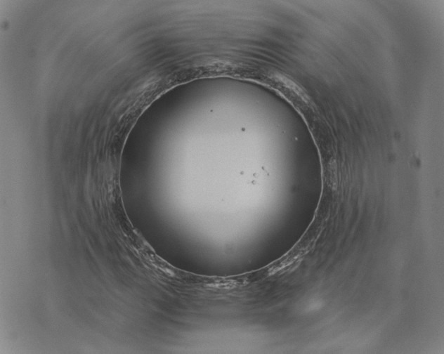 X0000076271111200610191732