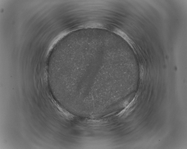 X0000076271115200610191732