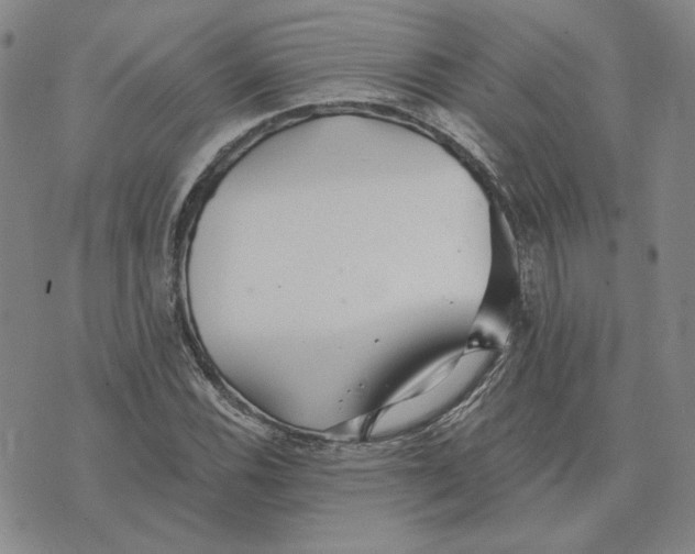 X0000076271116200610191732